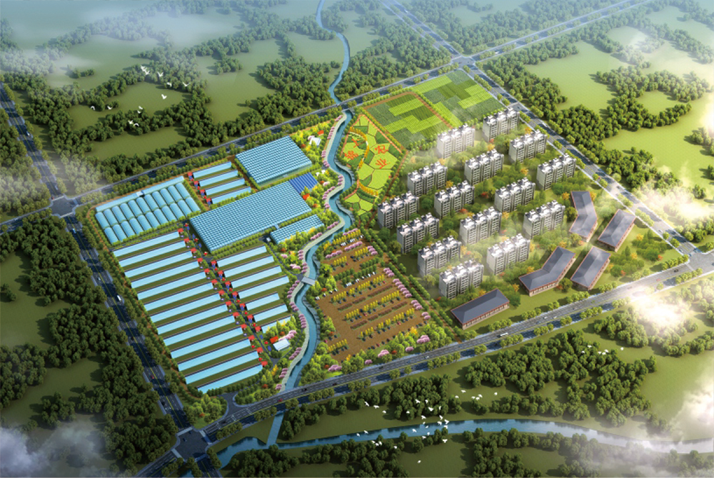建筑施工10浑南区现代农业示范园工程项目01.png